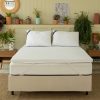 Pillow Top Guldi Original