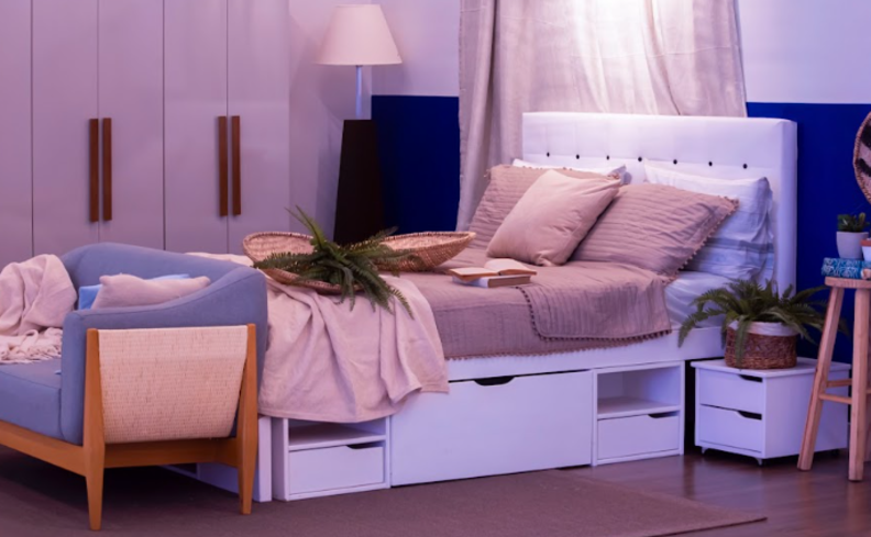 plantas para ter no quarto e ajudar na qualidade de sono e complementar a decoração do ambiente