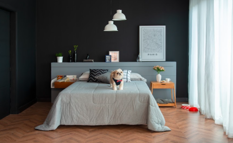 quarto com óleos essenciais para ajudar a dormir com mais tranquilidade, além de cama de casal, roupa de cama cinza, mesa de cabeceira, quadros decorativos e um cachorro em cima da cama.